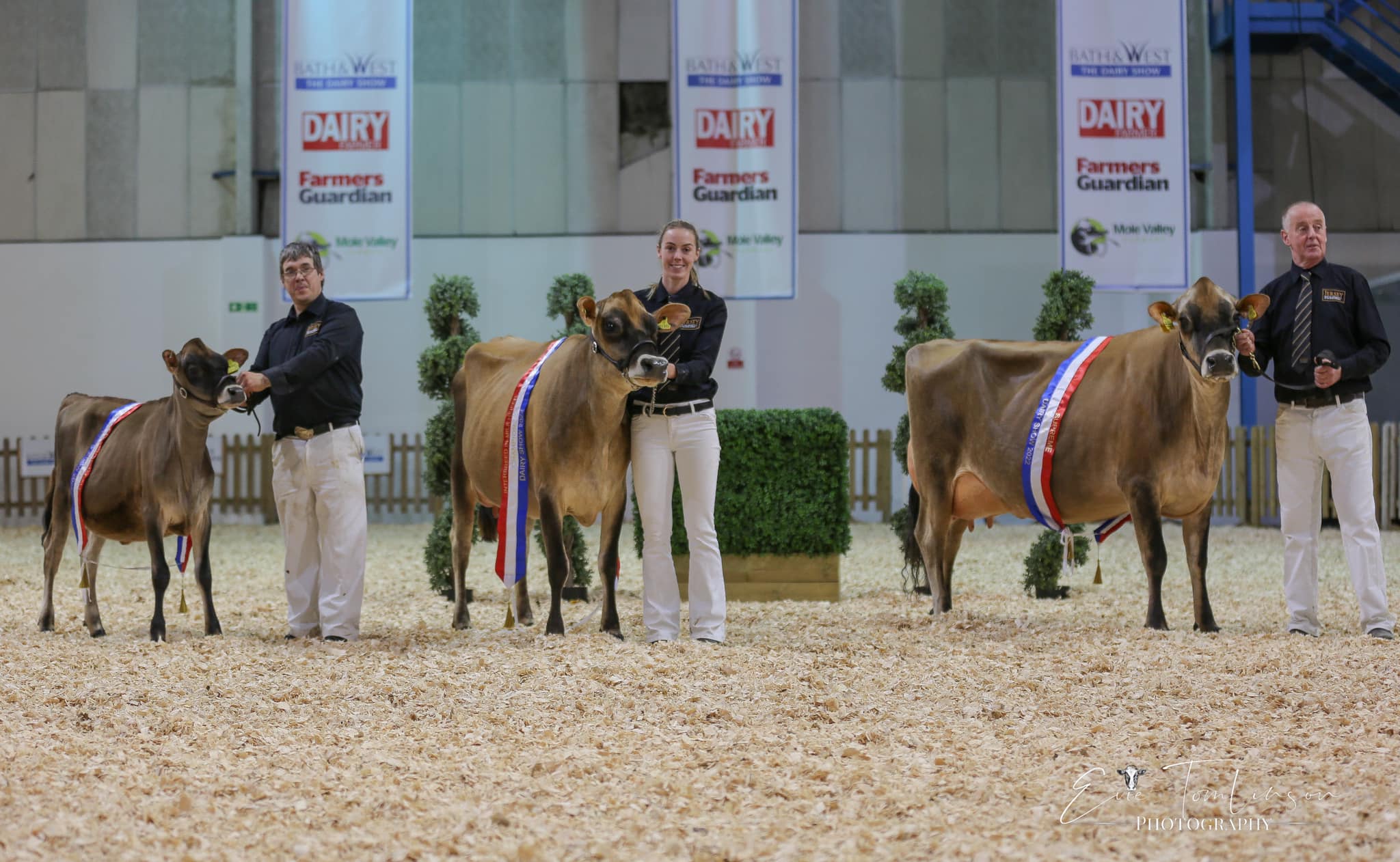 National Show 2022 Jersey Cattle Society Pedigree Livestock Services